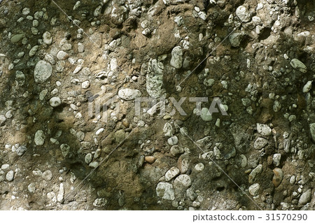 conglomerate conglomerate 31570290