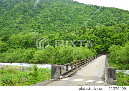 Fresh green shell bridge 31570409