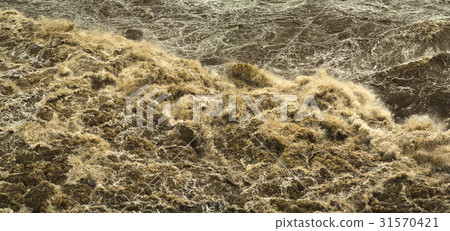 水 戶外 室外 31570421