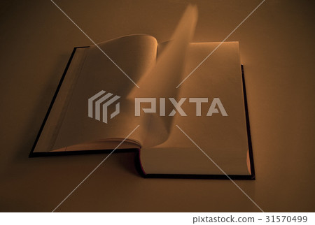 書 書 31570499
