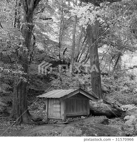 江原道，Jeongseon-gun，Sujung-dang 31570966