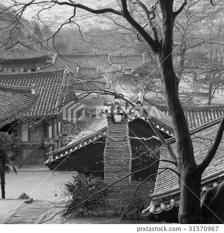 全南縣海南郡大興寺 31570967