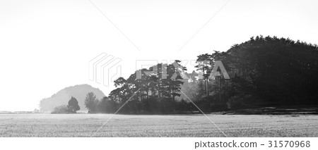 三原，江原道 31570968