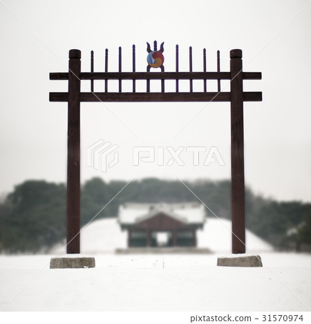 Seoul, Jeongneung, Jeongryeongneung, Gangnam-gu, Seoul 31570974