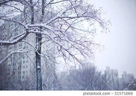 首爾松坡區亞洲公園 首爾松坡區亞洲公園 31571060