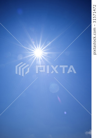 Low angle, nature, Sun 31571472