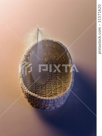feather 31571620