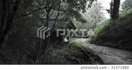 Sunam寺,順天,全南 Sunam寺,順天,全南 31571860