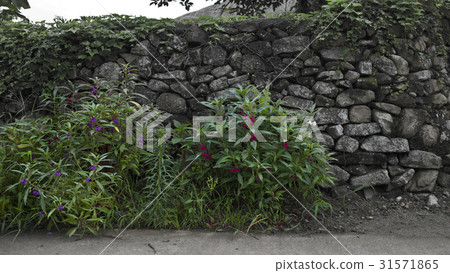 Doanbyeong Folk Village, Suncheon City, Jeonnam 31571865