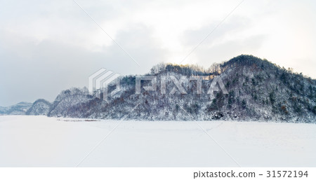 忠南市保寧市 31572194