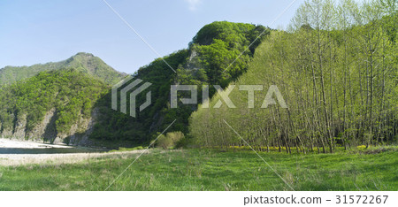 Donggang, Jeongseon-gun, Gangwon-do 31572267