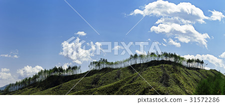 Gangneung, Gangwon-do 31572286