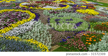 Yangjae Citizen's Forest, Seocho-gu, Seoul 31572309