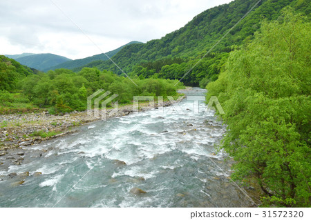 Kiyotsugawa seen from the Kanagawa Bridge 31572320