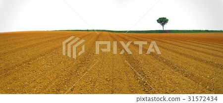 全南縣石南縣 31572434