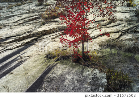 Seorak Mountain, Inje County, Gangwon Province 31572508