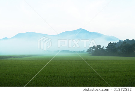 Budget army, Chungnam 31572552