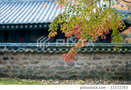 Geumsansa, Gimje, Jeonbuk 31572703