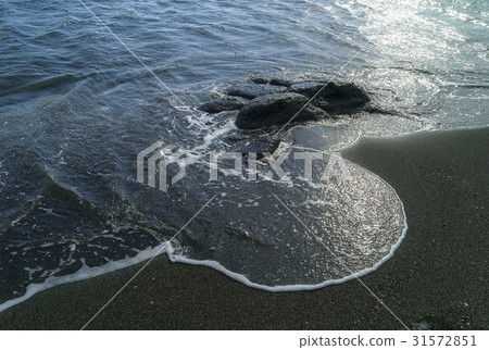 濟州島西歸浦市大井邑 31572851