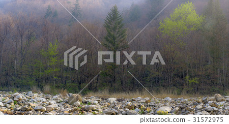 江原道平昌縣頌山 31572975