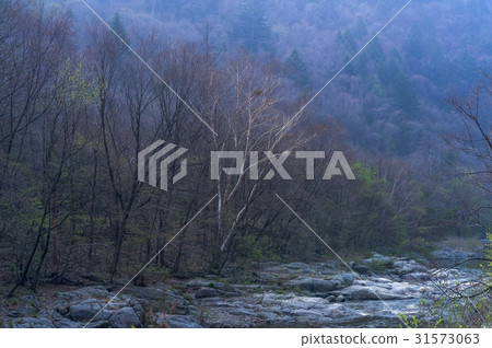 江原道平昌縣頌山 江原道平昌縣頌山 31573063