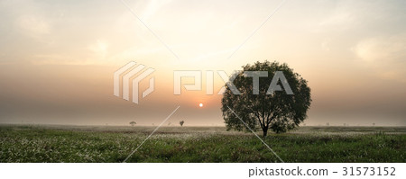 京畿道華城市Wooshin-do 京畿道華城市Wooshin-do 31573152