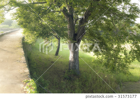 Nakan-eupseong (Historic Site No. 302), Suncheon, Jeonnam Nakan-eupseong (Historic Site No. 302), Suncheon, Jeonnam 31573177