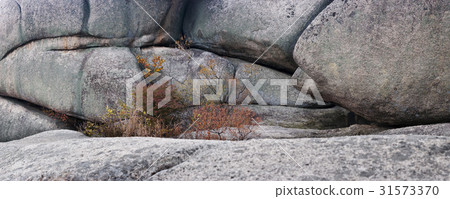 Sokcho, Gangwon-do 31573370