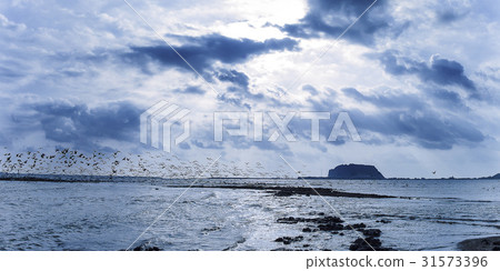 Seongsan Ilchulbong, Seongsan-eup, Seogwipo-si, Jeju-do 31573396