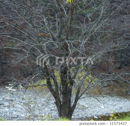 Yangyang-gun, Gangwon-do 31573437