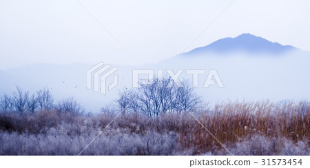 Seongjusan, Boryeong, Chungnam 31573454