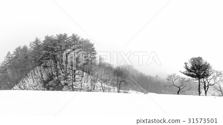 Hongcheon County, Gangwon Province Hongcheon County, Gangwon Province 31573501