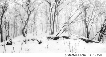 Hongcheon County, Gangwon Province Hongcheon County, Gangwon Province 31573503