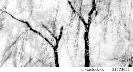 Mighty Beard, Gangnam-gu, Seoul 31573601