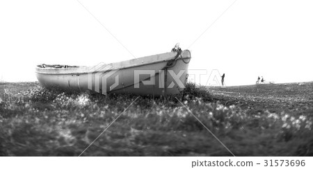 Ferry boat, Seogwipo city, Jeju island Ferry boat, Seogwipo city, Jeju island 31573696