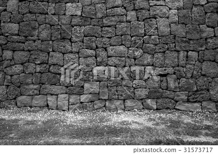 Stone wall, Jeju city, Jeju island 31573717