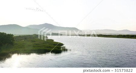 Boryeong-si, Chungnam Boryeong-si, Chungnam 31573822