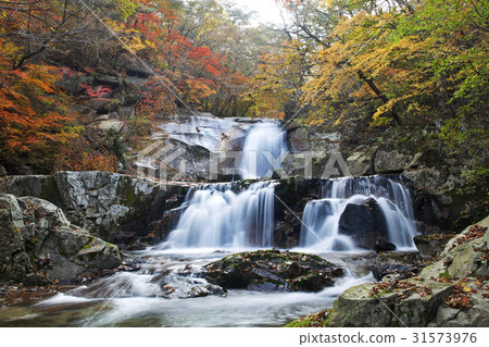 Ethan瀑布,Ungdong谷,Taejun,Inje縣,江原道 Ethan瀑布,Ungdong谷,Taejun,Inje縣,江原道 31573976