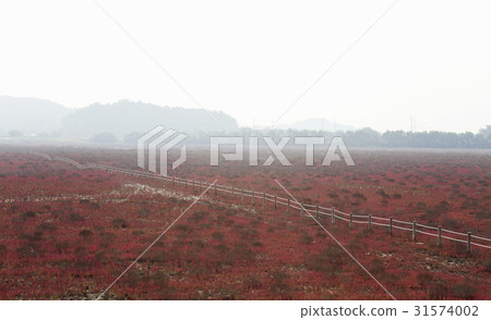 Chilmachon, Siheung, Gyeonggi-do 31574002