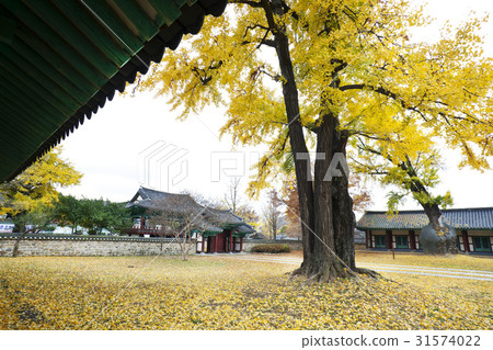 Jeonju Hankyo, Jeonju, Jeonbuk 31574022