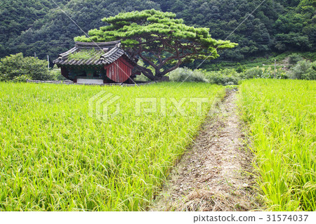 Non-governmental organizations, Yeongwol-gun, Gangwon-do Non-governmental organizations, Yeongwol-gun, Gangwon-do 31574037