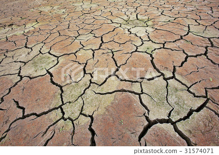 Drought, Waterfall Reservoir, Siheung City, Gyeonggi-do 31574071