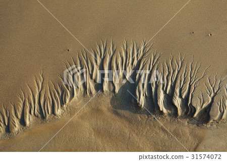 Tidal flat, Yeongjong Island, Incheon 31574072