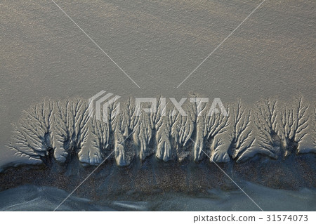 Tidal flat, Yeongjong Island, Incheon 31574073