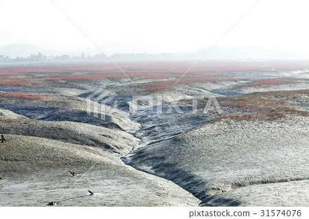 仁川永宗島潮灘 仁川永宗島潮灘 31574076