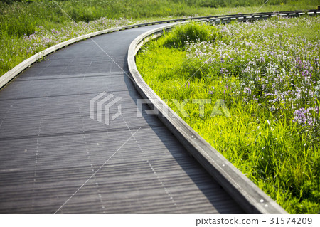 Doori Ecological Park, Goyang-gu, Incheon 31574209