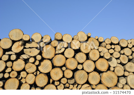 firewood 31574470