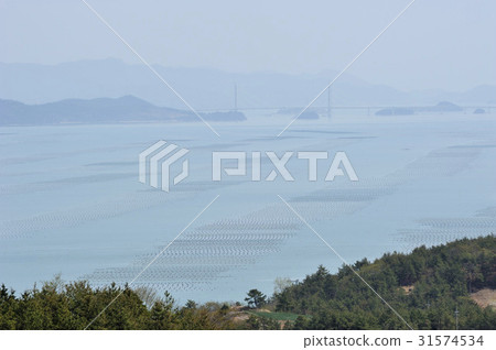 Farm, Gyeongnam Farm, Gyeongnam 31574534