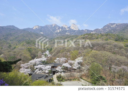 Bukhansan, Gangbuk-gu, Seoul 31574571