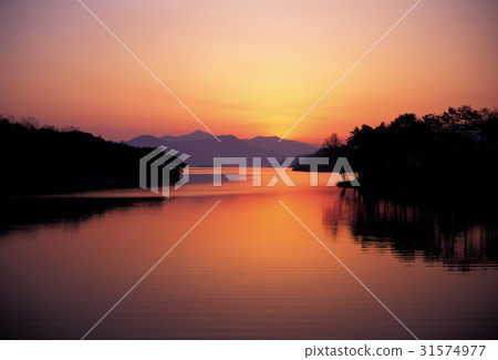 reflection, reflex, -flexion 31574977